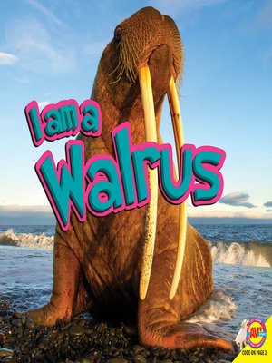 cover image of Walrus